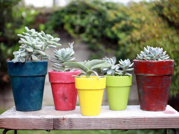 カラーポット全種類