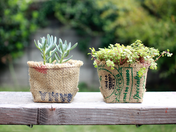 コーヒーポット 1P M