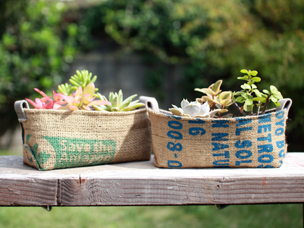 コーヒーポット 2P