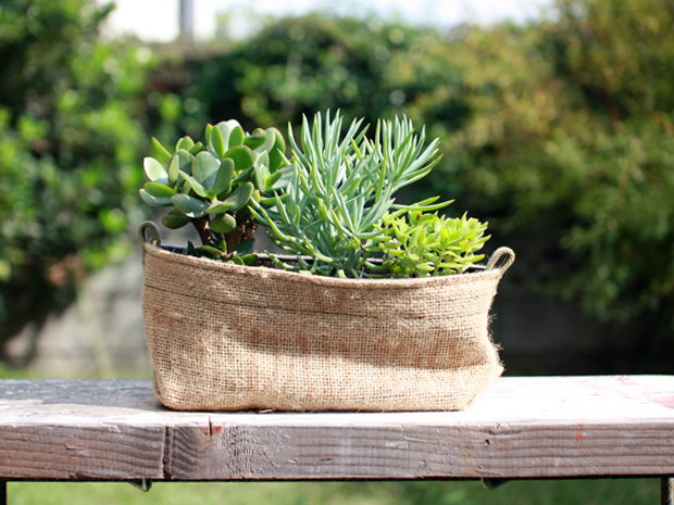 コーヒーポット 3P