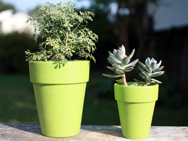 カラーポット Lime green