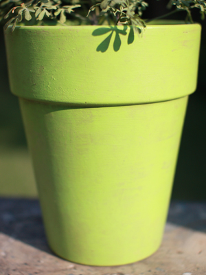 カラーポット Lime green 拡大