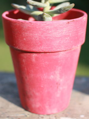 カラーポット Rose pink 拡大