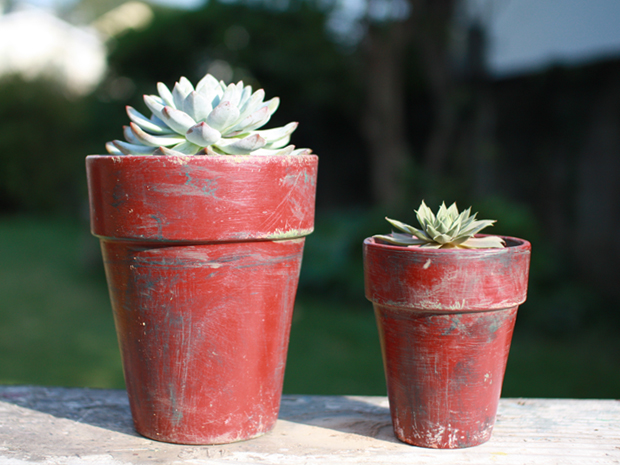 カラーポット Carmine red