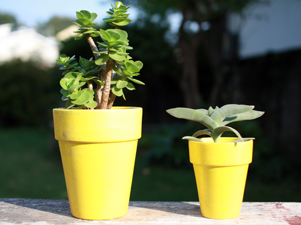 カラーポット Canary yellow