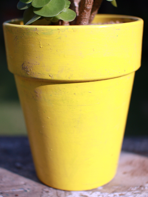 カラーポット Canary yellow 拡大